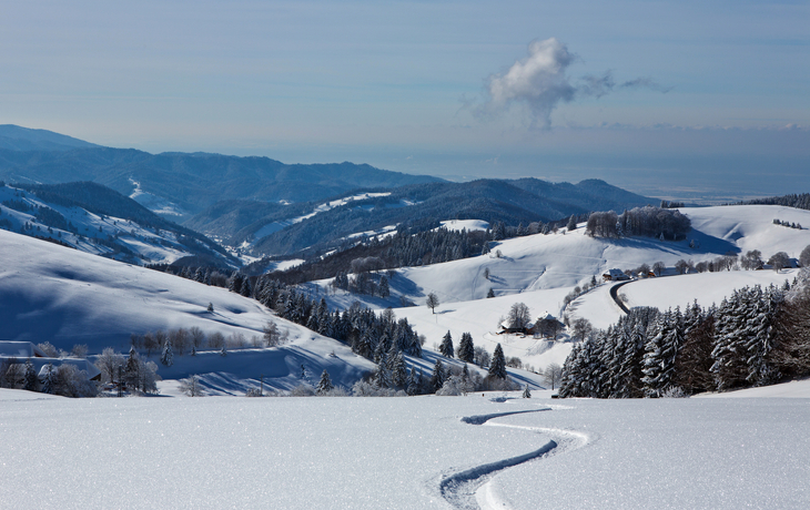 winterlicher Schwarzwald, Deutschland - © Michael Zimberov - stock.adobe.com