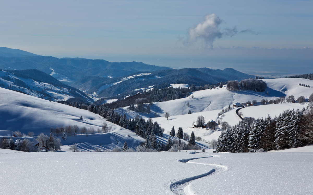 winterlicher Schwarzwald, Deutschland - © Michael Zimberov - stock.adobe.com