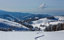 © Michael Zimberov - stock.adobe.com