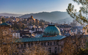 © David LEVEQUE - stock.adobe.com