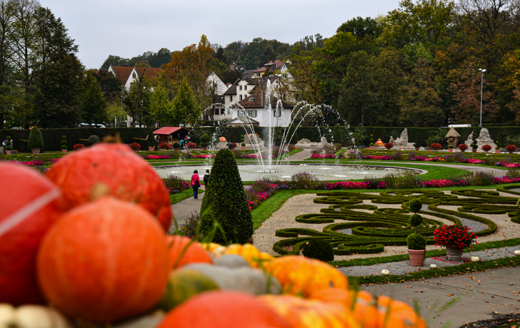 Kürbisausstellung in Ludwigsburg - © Lisa-Marie - stock.adobe.com