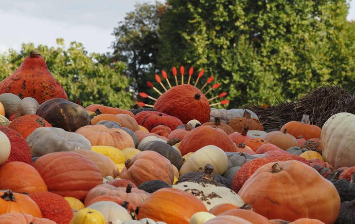 © Wirestock Creators/Shutterstock