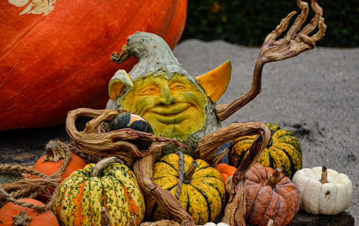 © Lisa-Marie-Travel/Shutterstock