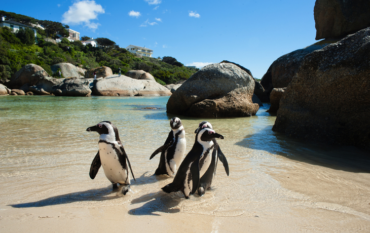 © KODAKovic/Shutterstock