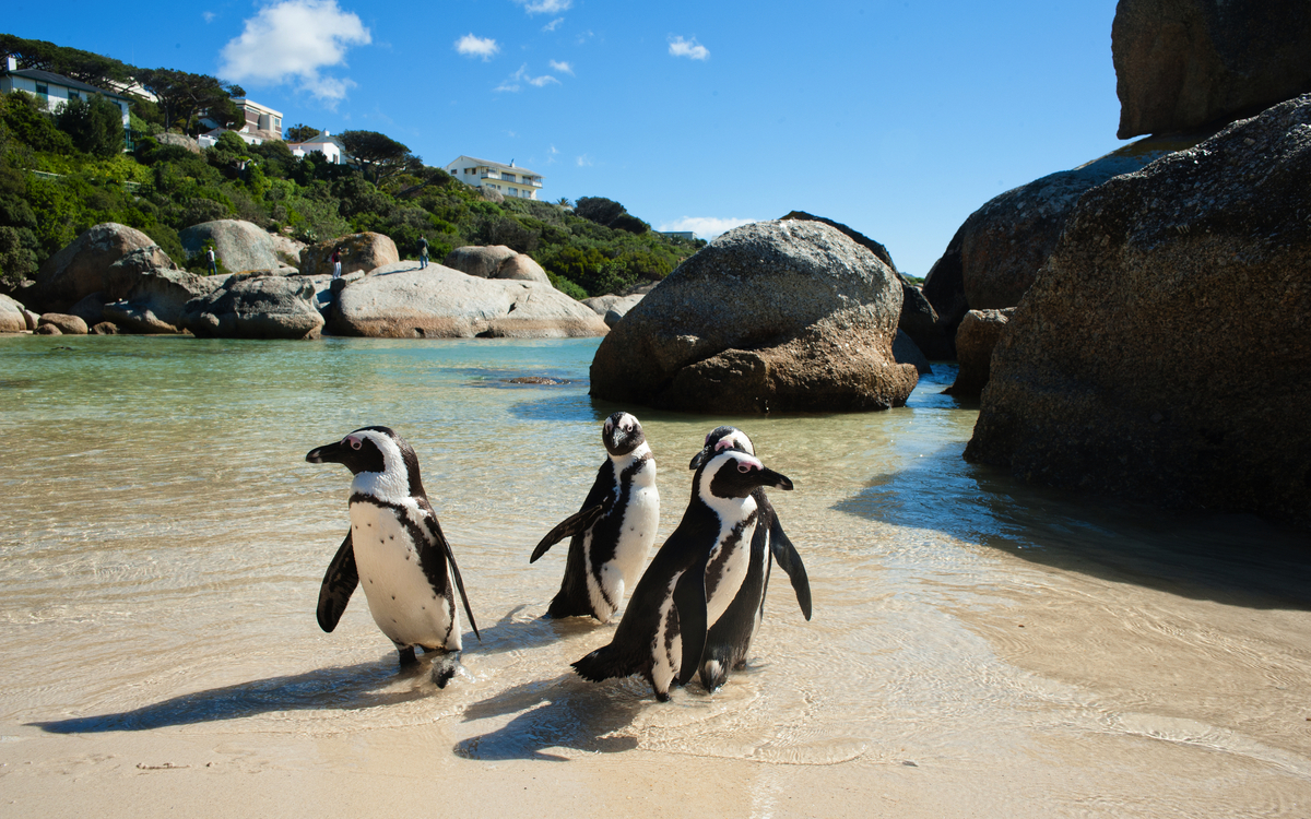 © KODAKovic/Shutterstock