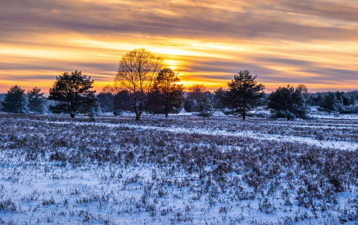 Naturpark Lüneburger Heide im Winter