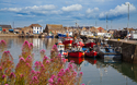 © Gabriela Insuratelu/Shutterstock