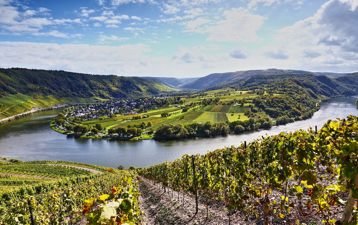 Moselschleife und Weinberge in Rheinland-Pfalz, Deutschland - © sunset man - stock.adobe.com