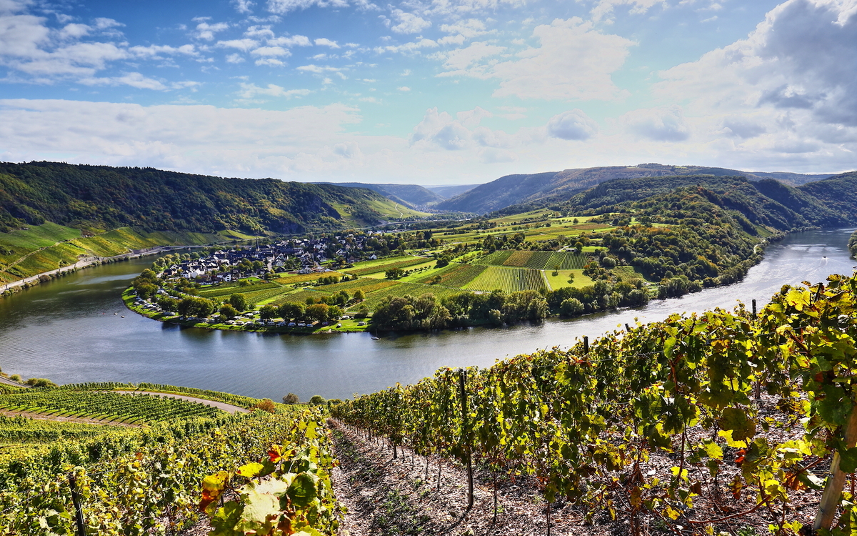 Moselschleife und Weinberge in Rheinland-Pfalz, Deutschland - © sunset man - stock.adobe.com