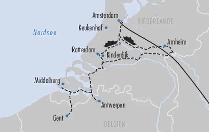 Tulpenblüte