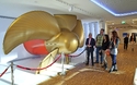 © Meyer Werft, Michael Wessels