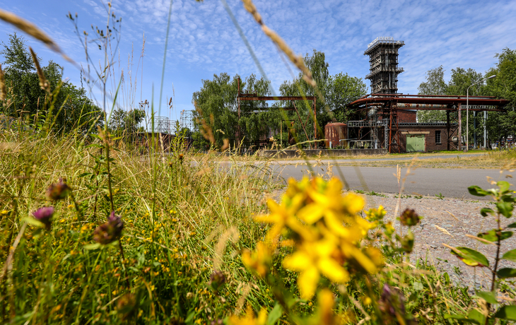 KokeriHansa_DO_IGA2027_Oberhäuser - © IGA 2027/Oberhäuser