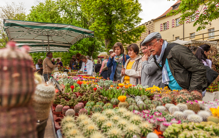 Schloss Guteneck - Schloss Guteneck