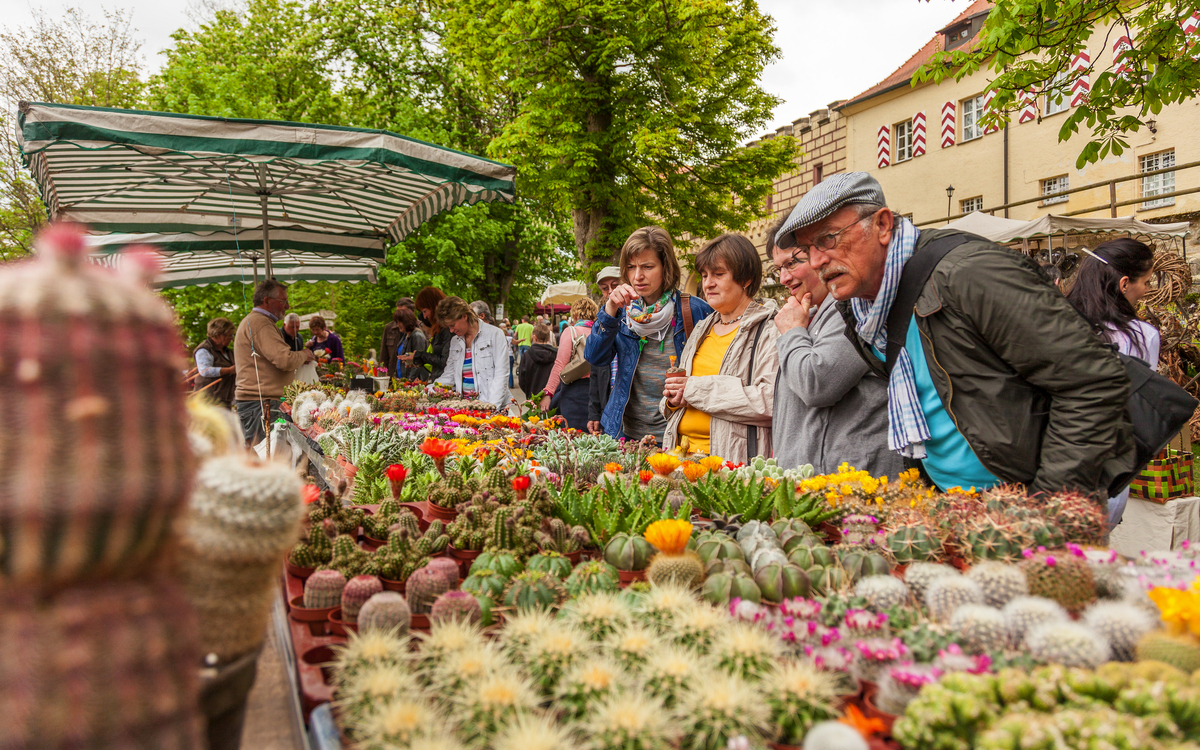 Schloss Guteneck - Schloss Guteneck