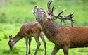 © bietau - stock.adobe.com