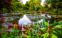 © Beatrice - stock.adobe.com