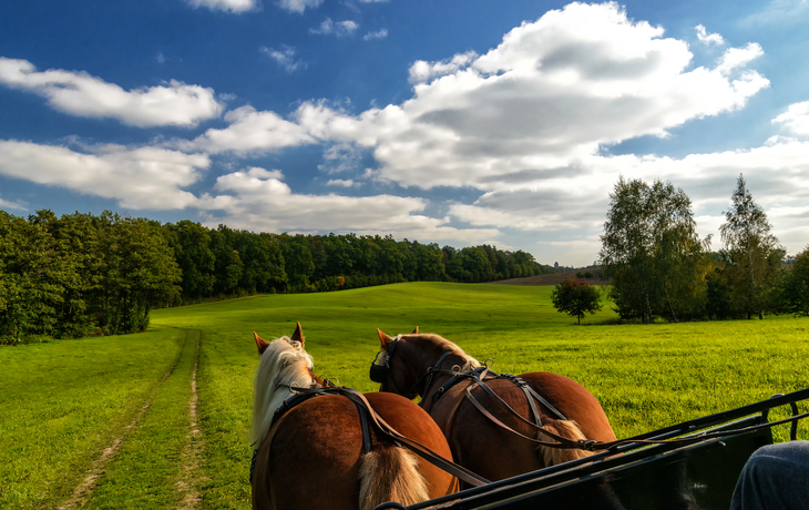 Kutschfahrt in den Masuren - © cameris - stock.adobe.com