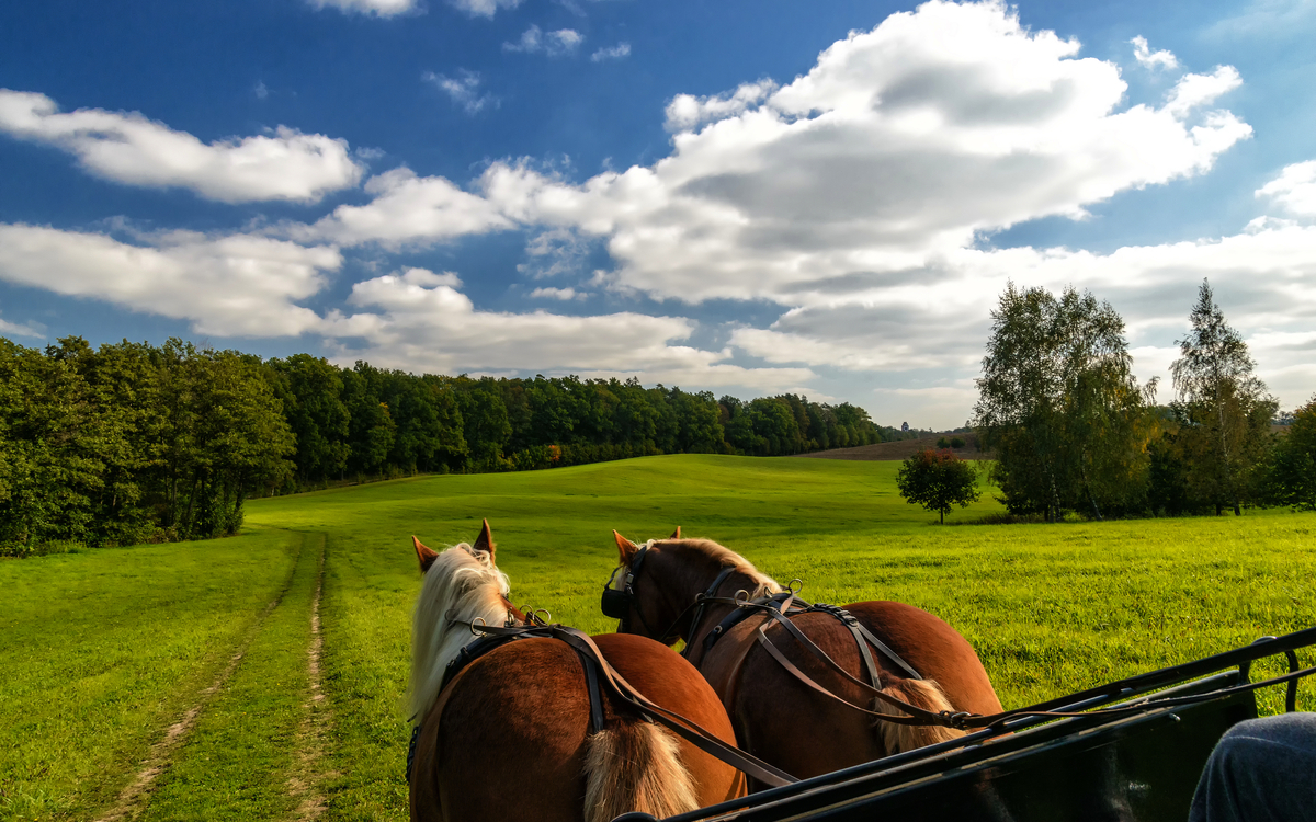 Kutschfahrt in den Masuren - © cameris - stock.adobe.com