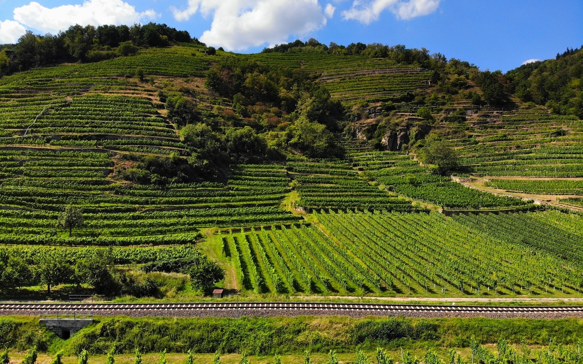 Wachaubahn - © Tupungato - stock.adobe.com