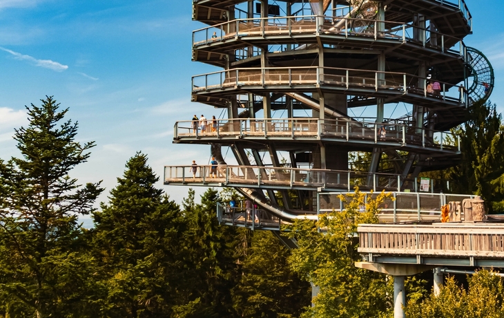 © Martin Erdniss/Shutterstock