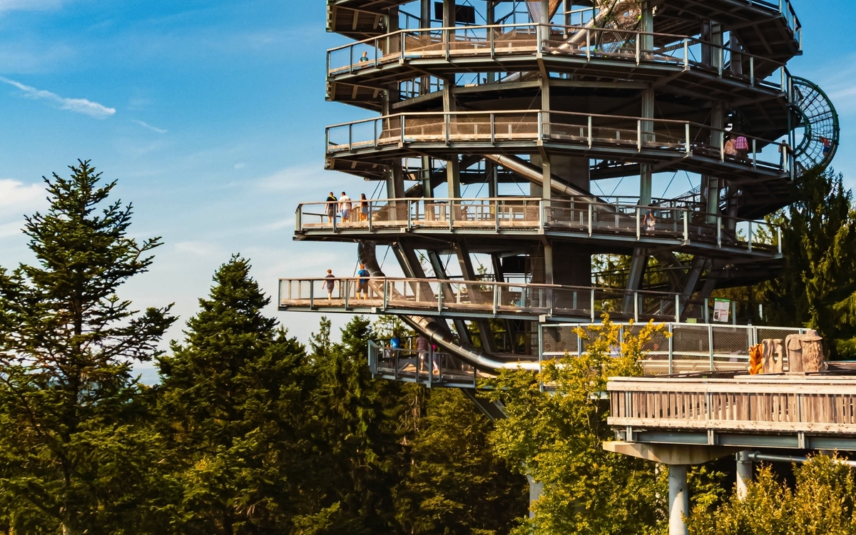 © Martin Erdniss/Shutterstock