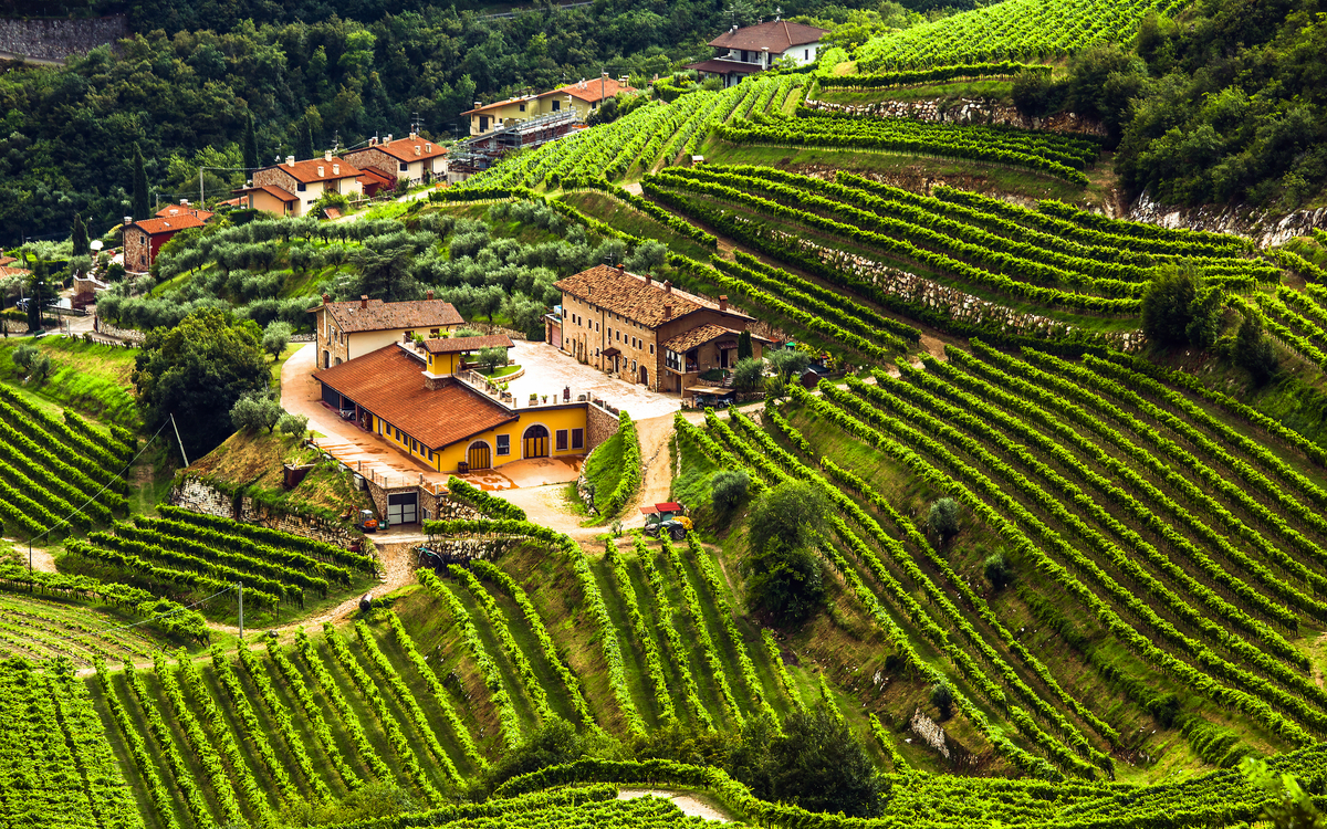 Weinbaugebiet Valpolicella  - © Francesco Valenti