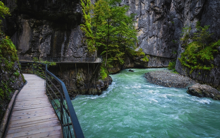 © Gaspar Janos/Shutterstock