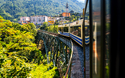© ON-Photography - stock.adobe.com