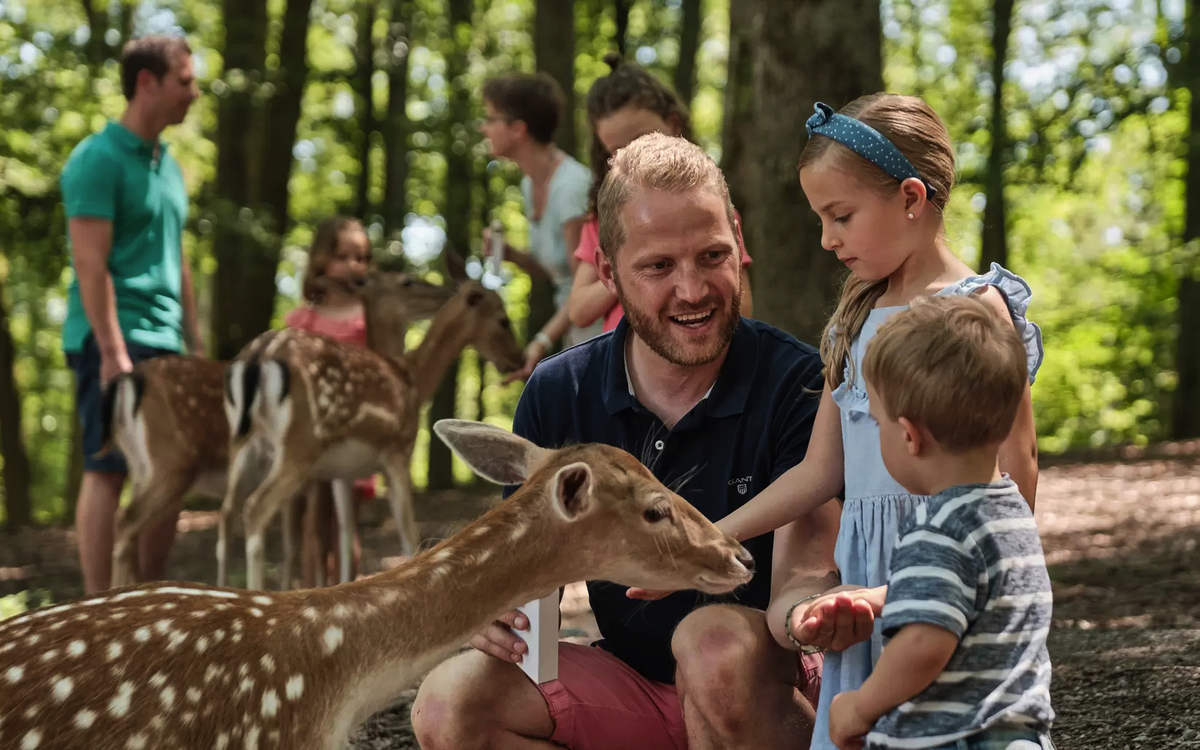 Tripsdrill - Erlebnispark Tripsdrill GmbH & Co. KG.