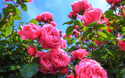 © TOMO - stock.adobe.com
