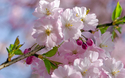 © doris oberfrank-list - stock.adobe.com