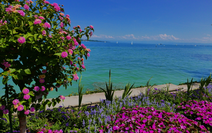 Insel Mainau - © Susanne - stock.adobe.com