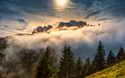 © Sever Smuda - stock.adobe.com