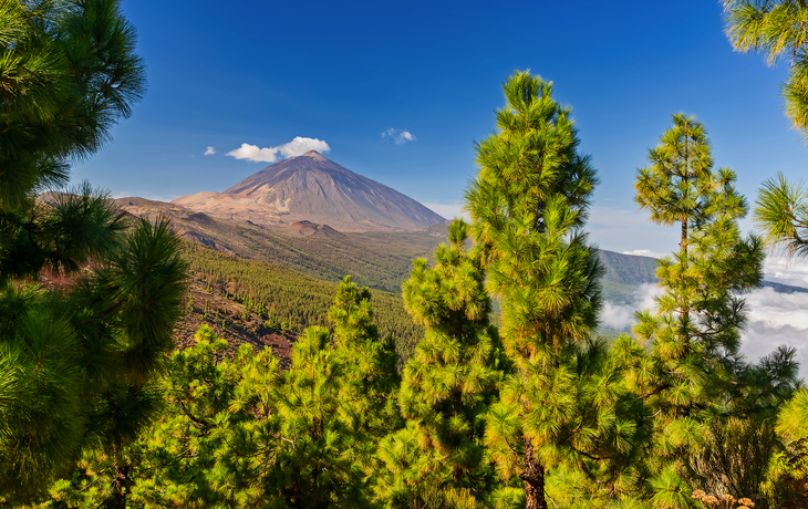 Vulkan Teide – Blick vom Mirador La Crucita  - © Henner Damke - stock.adobe.com