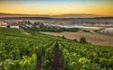 © Hesam Wide Shot - stock.adobe.com