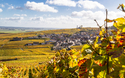 © Jeremie LORAND - stock.adobe.com