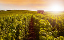 © geniusksy - Fotolia