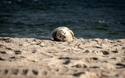 © Wirestock Creators/Shutterstock