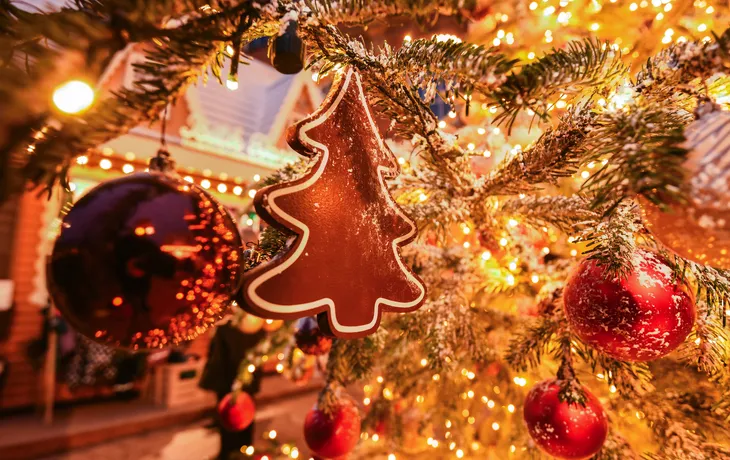 © Viktor - stock.adobe.com - ein Weihnachtsbaum-Ingwerplätzchen schmückt einen echten Weihnachtsbaum