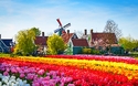 © olenaznakk - stock.adobe.com