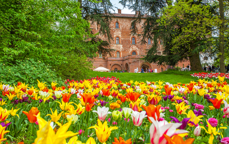 Schloss von Pralormo in Turin, Italien - ©elitravo - stock.adobe.com