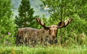 ©janmiko - stock.adobe.com