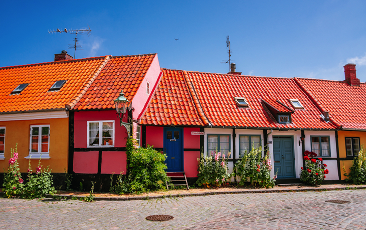 Straßen der Stadt Rönne auf der dänischen Insel Bornholm sind von bunten Stockrosenblüten gesäumt - © LisaGageler - stock.adobe.com