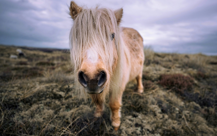 © Unsplash