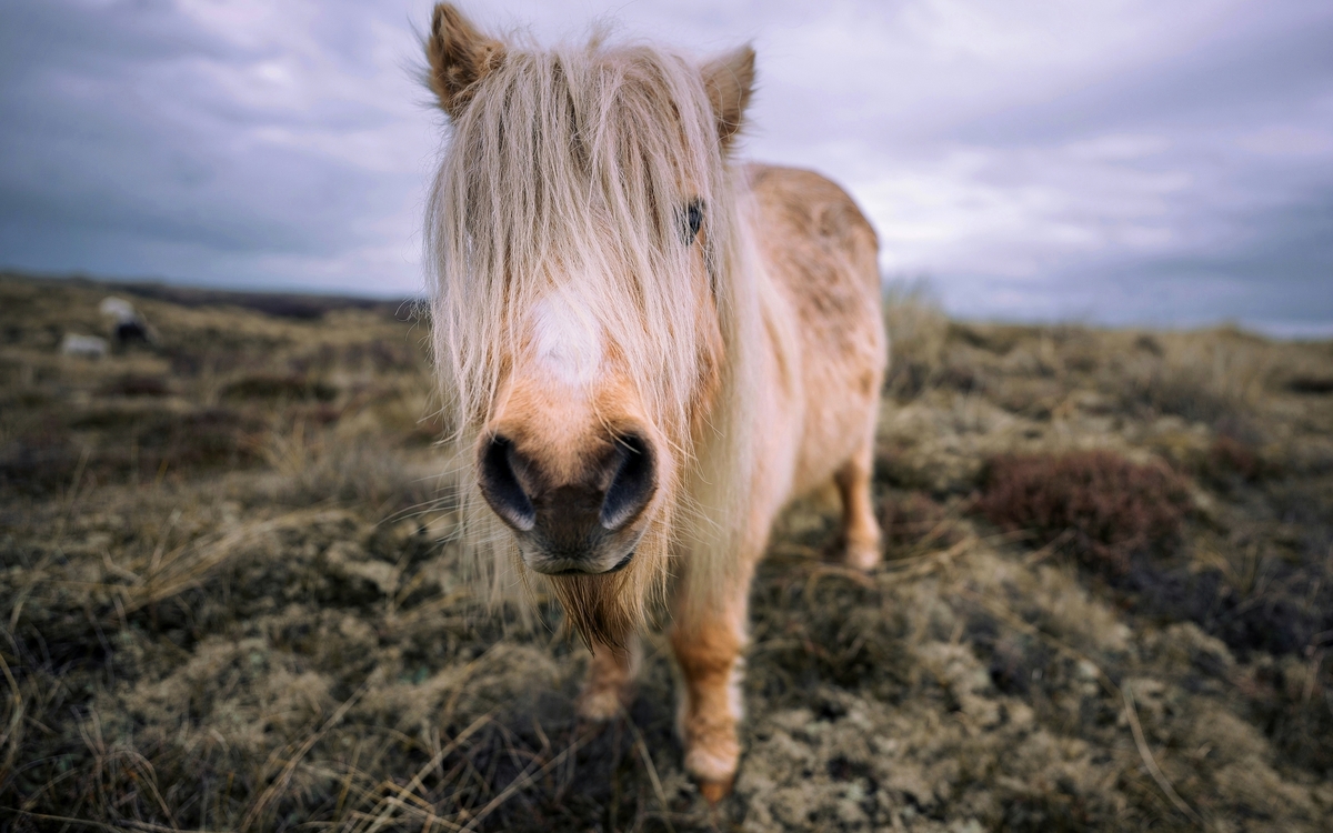 © Unsplash