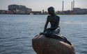 © Reinier - stock.adobe.com