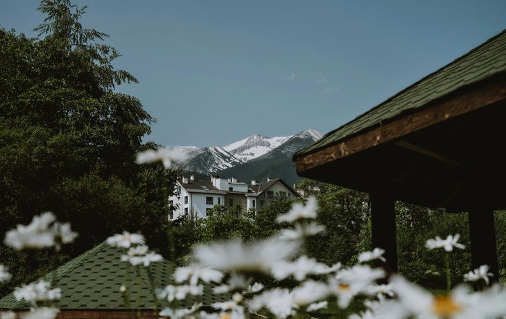 © Unsplash
