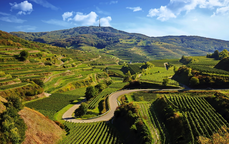 Kaiserstuhl - ©fotoping - stock.adobe.com