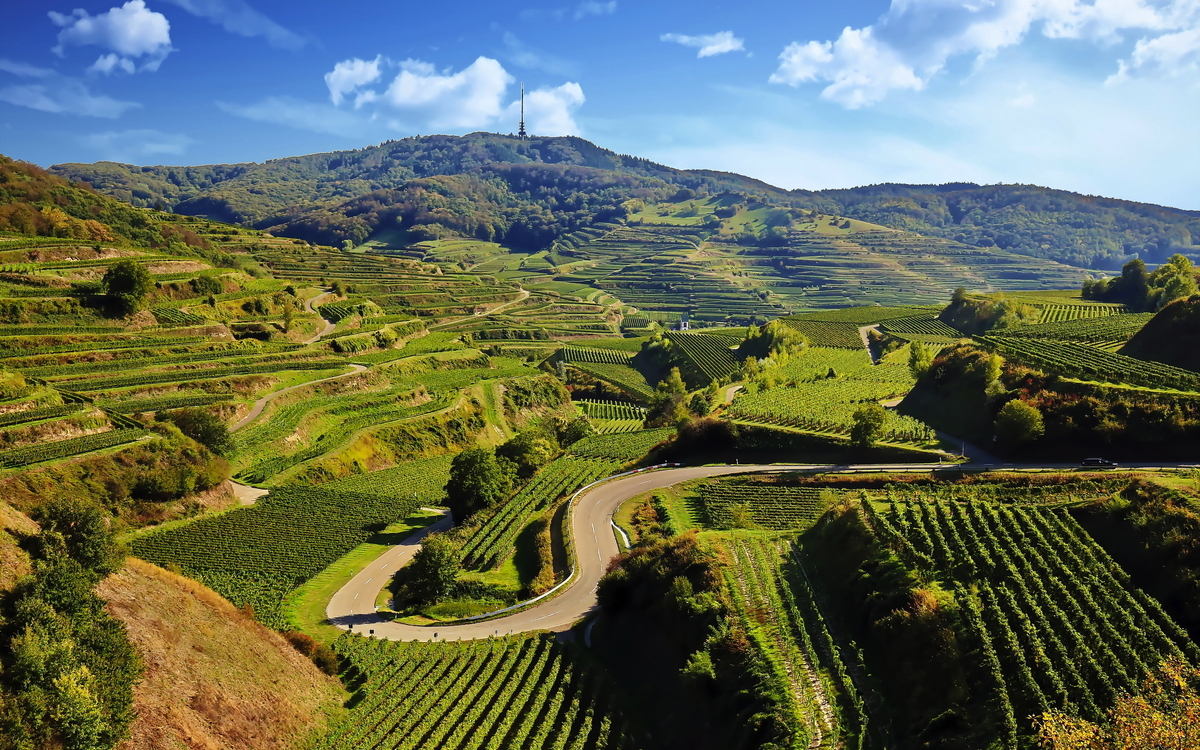 Kaiserstuhl - ©fotoping - stock.adobe.com