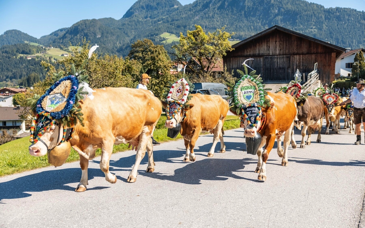 Reither Bauernmarkt - © Alpbachtal Tourismus